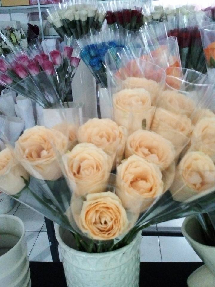 Hand Bouquet Valentine Klungkung 